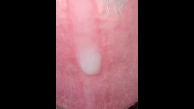 C.U.M.S - Close Up and..