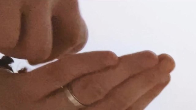 Huge cock fucks a huge round..