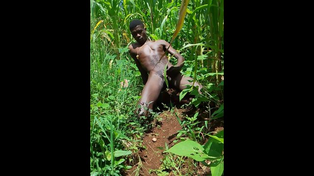 Trying to be horny without a..