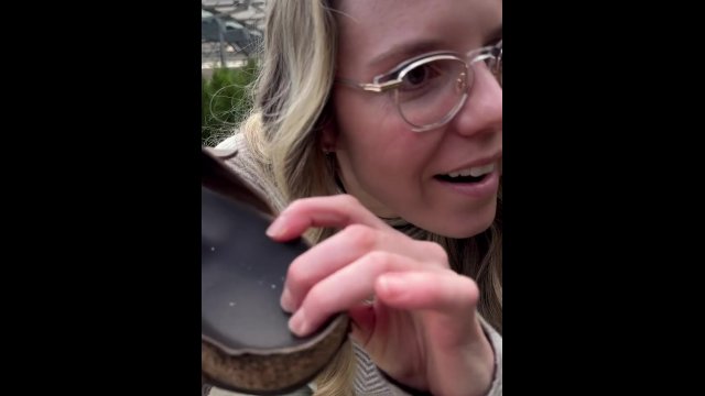 You follow me around the..