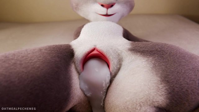 Judy Hopps riding your dick..