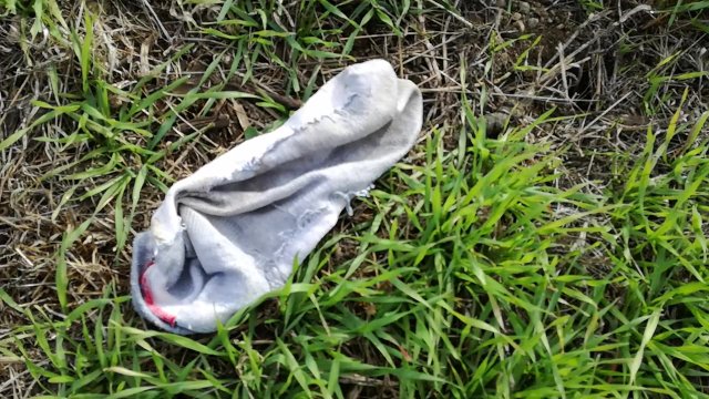 i found stinky socks at the..